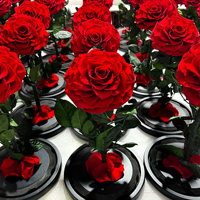 Bestseller Handwerkskunst Feine Verpackung Ewig Haltbare Blumen Boutique-Rosen Glasabdeckungen für Warme Weihnachten Abschlussfeier