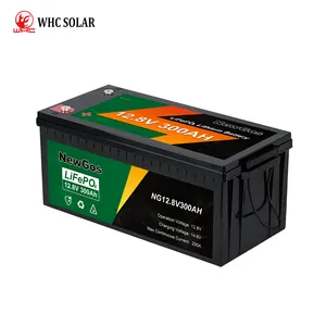 12V 100Ah 200Ah 300Ah Solar Lithium Ion Battery Kit 24volt Lithium Ion Battery