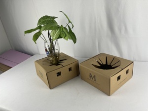 Cajas <span class=keywords><strong>de</strong></span> Cartón Reciclables Personalizadas para Floristería, Cajas <span class=keywords><strong>de</strong></span> Entrega <span class=keywords><strong>de</strong></span> Cartón Kraft Marrón, Cajas <span class=keywords><strong>de</strong></span> Transporte <span class=keywords><strong>de</strong></span> Cartón para Floristería - Product Image 3