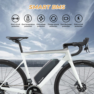 Batterie au lithium Polly 5 Ebike 21700 Downtube 10Ah 36V/48V/52V pour kits moteur 500W-1000W - Product Image 5