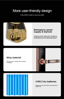 Serrure de porte d'entrée en cuivre bronze rouge avec code d'accès par empreinte digitale, déverrouillage à distance Wi-Fi TTlock TUYA, accès par carte, serrure électrique pour maison et hôtel