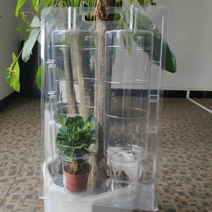 Kotak Tanam Plastik PET PVC Model Clamshell untuk 2 Tanaman, Baki Bibit Blister untuk Kebun Rumah - Product Image 2