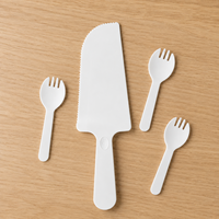 Couteau à gâteau blanc en CPLA, jetable et compostable, spatule à dessert de qualité alimentaire, couleur personnalisée, OEM