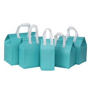 Petit sac isotherme jetable en non-tissé avec feuille d'aluminium pour boissons chaudes ou froides, café ou livraison de repas, isolé thermiquement - Product Image 1