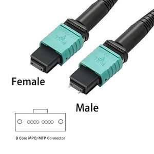 Cable de conexión MPO 8 Core/12 Core <span class=keywords><strong>OM3</strong></span>/<span class=keywords><strong>300</strong></span> 1-100M Cable de conexión Cable óptico multimodo <span class=keywords><strong>OM3</strong></span> MPO para módulo 100G 40G <span class=keywords><strong>OM3</strong></span> MPO Cable de conexión - Product Image 5