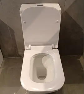 유럽 표준 CE 핫 셀링 세라믹 Wc 화장실 듀얼 플러시 P-트랩 바닥 장착 2 피스 화장실