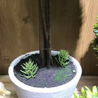 NINI Plantes Artificielles Vertes Fraîches Style Champêtre, Ornements Bonsaï pour Bureau, Salon, Maison, Boîtes en Bois, Panneaux Muraux