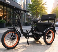 Tricycle électrique à assistance électrique de 20 pouces 750W avec différentiel, pour passagers et marchandises, pour adultes, trajets urbains et courses.