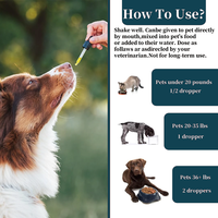 Antibiotiques liquides pour animaux de compagnie, soins aux antibiotiques naturels pour chiens et chats, soulagement des allergies et des démangeaisons, soutien immunitaire, haute teneur en protéines