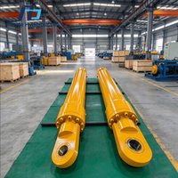 Cylindre hydraulique sur mesure à gros alésage pour bras d'excavatrice, 25-40 MPa, tige chromée, pièces de gros équipement longue durée de vie
