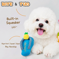Jouet à mâcher pour chien Crinkle Cartoon Squeaky - Jouet durable, non toxique, léger, pour le nettoyage des dents, pour le jeu quotidien