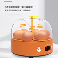 Incubateur d'œufs entièrement automatique CE 2026 en gros, 6 places, pour oiseaux, poulets, canards, oies, autruches, taux d'éclosion de 98%, garantie 1 an