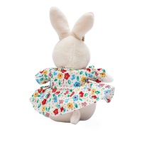 Cpc personalizado suave juguete Peter Rabbit Holding Chicks Oem/ODM muestra gratis lindo conejo juguetes de peluche personalizado