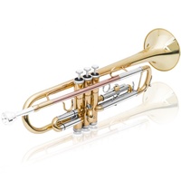 Wholesale Custom Sinomusik Brand Gold Lacquer Brass Bb Key Trumpet Professional Brass Material Brasswind Musical Instruments