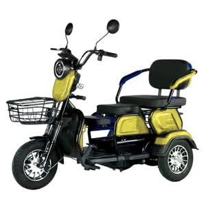 Pour la livraison Trike électrique à 3 roues Type pour femmes Utilisation urbaine E-bike Pedicab électrique Tricycle électrique pour deux personnes - Product Image 1