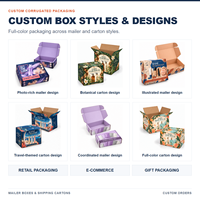 Boîte en carton ondulé micro-cannelé RSC imprimée CMJN OEM avec insert en mousse EVA et revêtement à base d'eau pour lot de couches de base et de finition