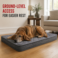Matelas orthopédique pour chien à hauteur au sol, lit pour animaux de compagnie à entrée basse pour chiens âgés avec housse lavable