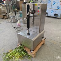 Éplucheur et trancheur électrique de mangues pour la préparation de chips, machine à éplucher les fruits et légumes verts crus