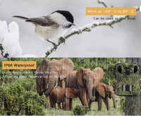 Mini caméra de chasse infrarouge avec connexion Wi-Fi et contrôle par application, vidéo 4K, portée IR 20m/85ft, IP65