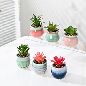 Vasi in Ceramica per <span class=keywords><strong>Piante</strong></span> <span class=keywords><strong>Grasse</strong></span> Artificiali, Mini Giardino Succulento da Scrivania per Casa, Ufficio e Matrimonio - Product Image 3