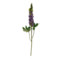 Realistiche paarse bloemen, enkelvoudige steel, zijden lupin, 82cm, Moederdag, Pasen, Kerstmis, bloemstuk voor bruiloft, huisdecoratie