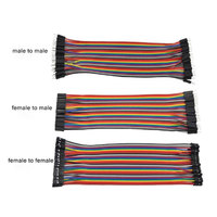 Rangkaian Kabel Pelangi Dupont Kustom 40pin 2.54mm 20cm Kabel Jumper Male to Male Harness Listrik