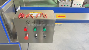 Offre Spéciale personnalisé machine d'abattage de bovins vache taureau séparateur de carcasse scie à ruban pour équipement d'abattoir - Product Image 2