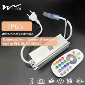 Vỏ kim loại cao áp 110V 220V ánh sáng không thấm nước RGB ánh sáng Dải điều khiển Điều khiển từ xa + điều khiển - Product Image 3