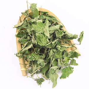 Premium Nouvelle récolte Feuilles de baume au citron <span class=keywords><strong>bio</strong></span> pour le thé, la relaxation et les remèdes naturels | Fournisseur <span class=keywords><strong>en</strong></span> <span class=keywords><strong>vrac</strong></span> - Product Image 4