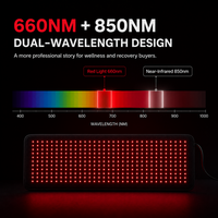 Ceintures chauffantes Magique Power 660nm 850nm pour le corps, thérapie par lumière rouge pulsée (RLT) et infrarouge pour la taille
