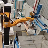 Palettiseur robotisé automatique pour sacs de 25 kg, certifié CE, fabriqué en Chine avec moteur principal et composants PLC, 400 sacs/heure