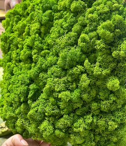 Carreaux muraux en mousse verte de haute qualité, mousse stabilisée de couleurs mélangées pour décoration de Noël, fleurs conservées, plantes, vente en gros en usine - Product Image 1