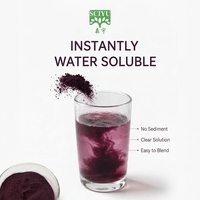 Extrait de Cassis en Poudre Qualité Alimentaire 100% Hydrosoluble Haute Teneur en Anthocyanes Extraction par Solvant Emballage Fût 20kg
