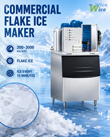 Machine à glaçons en flocons de neige, machine à fabriquer des glaçons en flocons, machine à glace en flocons, machine à glace en flocons 1 tonne d'eau, machine à glace marine