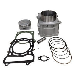Motorrad-Motorzylinder sind geeignet für Hisun HS550 ATV UTV 550 P0150001211A0000. - Product Image 2
