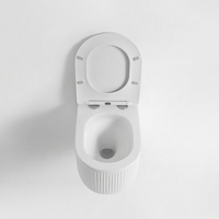 Nouvelles conceptions de toilettes en céramique monobloc, sanitaires, murales, pour salle de bain