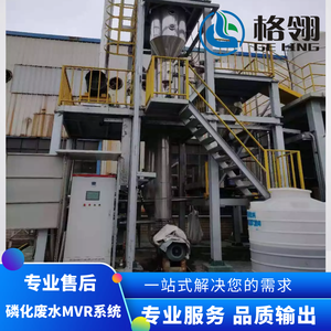 Usine <span class=keywords><strong>de</strong></span> fabrication <span class=keywords><strong>de</strong></span> sel d'eau salée MVR cristallisoir par évaporation à circulation forcée - Product Image 2