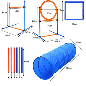 Ensemble d'équipement d'entraînement à l'agilité personnalisé <span class=keywords><strong>pour</strong></span> <span class=keywords><strong>chien</strong></span> Kit de démarrage <span class=keywords><strong>pour</strong></span> parcours d'obstacles <span class=keywords><strong>pour</strong></span> <span class=keywords><strong>chien</strong></span> Jeu d'extérieur <span class=keywords><strong>pour</strong></span> animaux de compagnie avec tunnel - Product Image 5