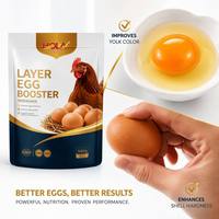 Complément vitaminique Egg Plus pour améliorer la quantité et la taille des œufs de volaille