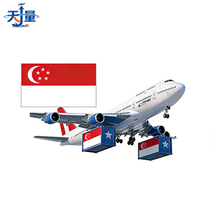 通过天亮海运运送设备和特殊货物的紧急新加坡项目空运，2天内可购买保险 - Product Image 1