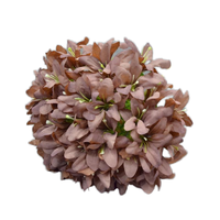 Bunga Hydrangea Sutra Buatan Warna Pink Terang Ukuran Besar E-375 Grosir dengan Daun untuk Acara Wisuda Tangkai Tunggal