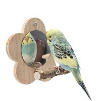 Accessoires pour perroquets : Perchoir de cage en bois de poivre du Sichuan et miroir carré en PET, jouet à mâcher pour diverses espèces d'oiseaux