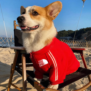 Ropa de Lujo para Perros de Marca Reconocida, Sudadera Deportiva Abrigada para Otoño, Ropa para Mascotas, Bulldog Francés, Talla XXL/XL, Hecha de Poliéster, Color Sólido, Lavado a Máquina - Product Image 5