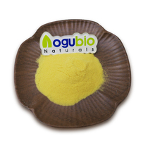 Approvisionnement en poudre instantané de boisson à la mangue au meilleur prix