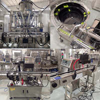 Machine de Remplissage de Sauce Automatique 4 Têtes Pompe à Rotor Trémie Chauffante Agitateur PLC Acier Inoxydable 304