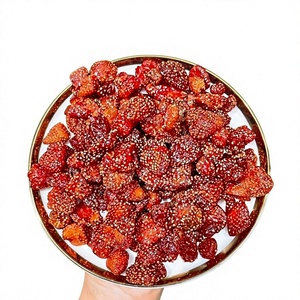 Proveedor de Fresas Secas Suaves de Vietnam, Snack de Fruta Natural Masticable para Ingredientes de Panadería y Cobertura de Cereales, Venta al por Mayor - Product Image 1