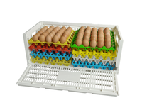 Panier à œufs pliable en plastique PP à design maillé, boîtes de rangement, bacs, caisses pliables empilables recyclables pour la maison