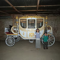 Accessoires de mariage de luxe personnalisés chariot de calèche tiré par des chevaux de mariage chariot de tourisme royal électrique à vendre