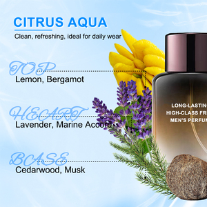 <span class=keywords><strong>Parfum</strong></span> de luxe pour hommes avec eau de <span class=keywords><strong>parfum</strong></span> de haute qualité pour hommes, agrumes, épices boisées, musc, herbes, longue durée - Product Image 3