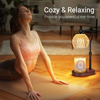 Chauffe-cire électrique en métal pour cire de soja, écologique, lampe de table d'aromathérapie, cadeau d'anniversaire, cadeau de la Saint-Valentin, bougies parfumées